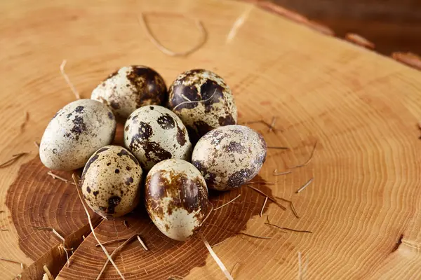 Huevos de codorniz manchados dispuestos en el tronco redondo, con espacio para copiar, enfoque selectivo . — Foto de Stock