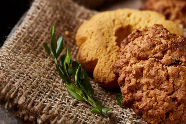 Tanımlama bilgileri ve tarçın bir ahşap varil, seçici odak, yakın çekim çeşitler ile kavramsal kompozisyon