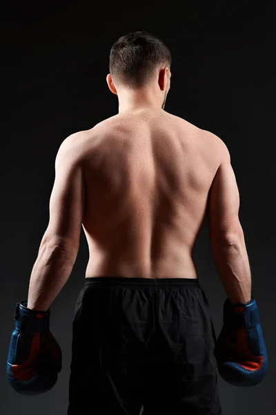 Low key studio portrait of handsome muscular fighter practicing boxing on dark blurred background — Stock Photo, Image