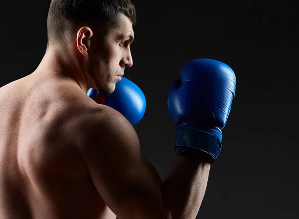 Nízké klíčových studiový portrét pohledný svalnatý bojovník cvičí boxu na tmavé rozmazané pozadí — Stock fotografie