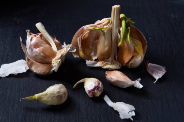 Sarımsak parçaları koyu siyah arka plan üzerine sığ derinliği alan, seçici odak, makro yakın çekim.