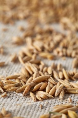 Soyulmamış yulaf taneleri saf masa örtüsü arka plan, üstten görünüm, yakın çekim, makro, seçici odak yığını.