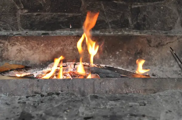 Şöminede yanan odun.