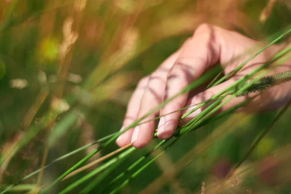 Kadının eli çimen saplarına değiyor.