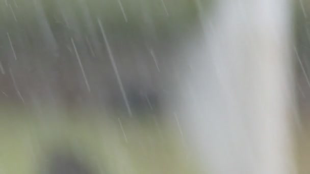 Fuerte Lluvia Velo Como Fondo — Vídeo de stock