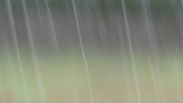 Капли Дождя Падение Альфа Компьютерная Анимация Циклом Дождя — стоковое видео
