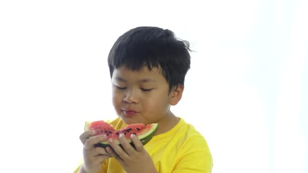 Bonito Menino Comendo Melancia Fundo Branco — Vídeo de Stock