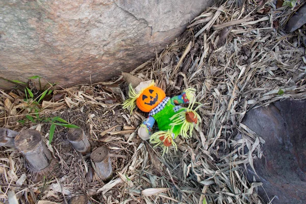 Хэллоуин Игрушка Камне Лесу — стоковое фото