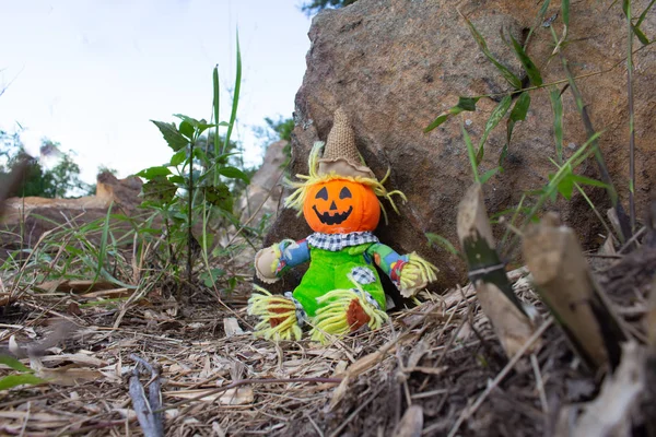 Halloween Spielzeug Auf Stein Wald — Stockfoto