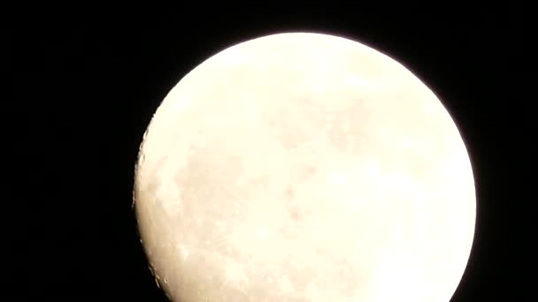 Grande Lune Brille Brillamment Dans Nuit Noire — Video