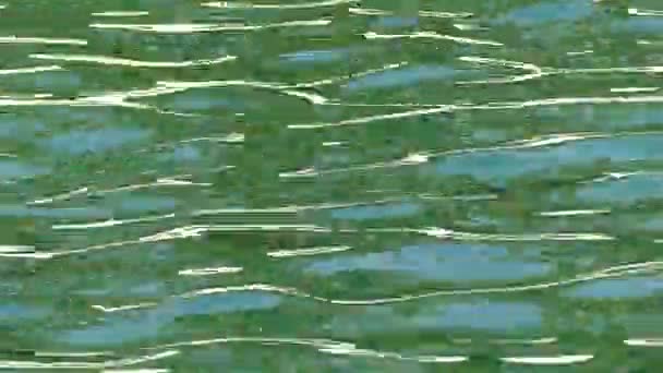Cor Verde Movimento Água Fundo Abstrato — Vídeo de Stock