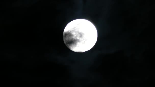 Φεγγάρι Είναι Πολύ Φωτεινό Βράδυ Στον Μαύρο Ουρανό — Αρχείο Βίντεο