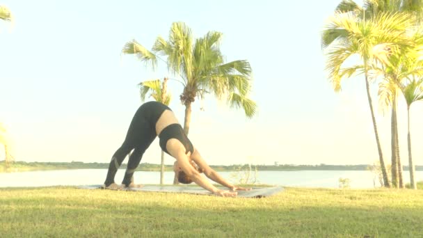 Asiatiques Femmes Exercice Dans Jardin — Video