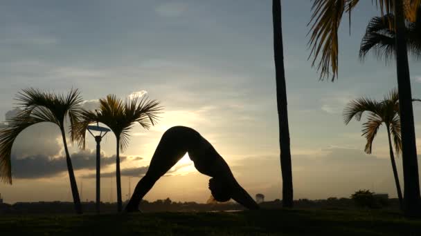 Cute Een Meisje Speelt Yoga Zonsondergang Achtergrond Video Silhouet — Stockvideo