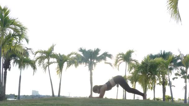 Asiático Lindo Una Chica Jugando Yoga Parque — Vídeos de Stock
