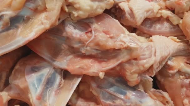 スーパーマーケットで新鮮な鶏のフレーム — ストック動画