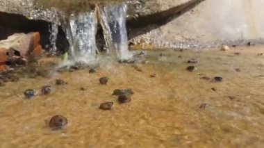 Aşağı su akar su Kanal.