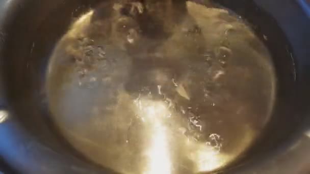 Hervir Los Huevos Una Olla Sopa — Vídeo de stock