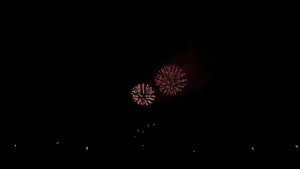 Színes Tűzijáték Robbanás Ünnepi Ünnep Elszigetelt Fekete Háttér — Stock videók
