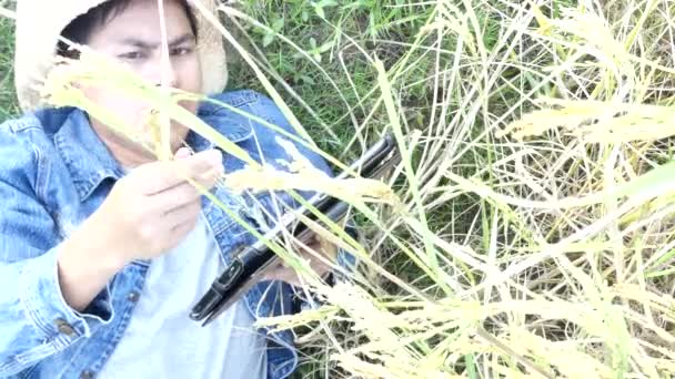 Фермеры Используют Цифровые Планшетники Рисовых Плантациях — стоковое видео