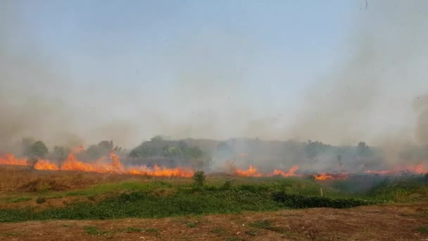 Das Feuer Das Das Grasland Verbrannte War Sehr Weit — Stockvideo