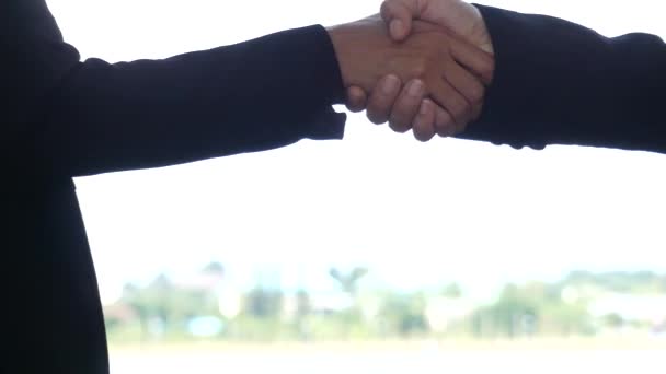 Business Holding Hands Trees Background — Stock Video