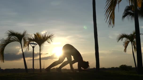 女人们通过瑜伽 瑜伽轮廓录像进行锻炼 — 图库视频影像