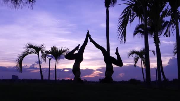 Las Mujeres Están Haciendo Ejercicio Con Yoga Silueta Yoga Video — Vídeos de Stock