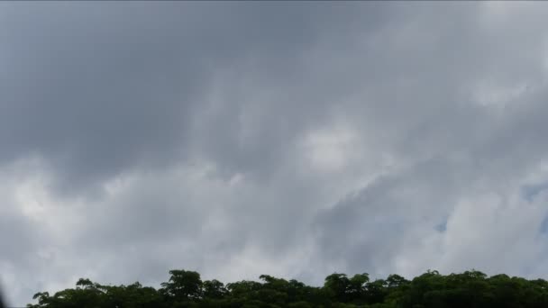 Nubes Lapso Tiempo Árbol Paisaje Nublado Esponjoso Hinchado Abstracto Lapso — Vídeo de stock