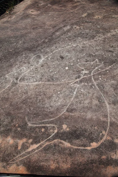 Dharawal Etsen Petroglyfen Bundeena Nsw Australië Een Rots Ets Van — Stockfoto