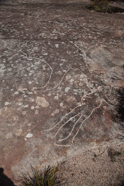 Dharawal Χαρακτικά Πετρογλυφικά Bundeena Nsw Αυστραλία Μια Βραχογραφία Ενός Ανθρώπου — Φωτογραφία Αρχείου