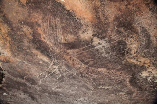 Dharawal Etsen Petroglyfen Bundeena Nsw Australië Een Rots Ets Van — Stockfoto