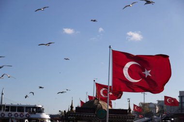İstanbul, Türkiye 'de 14.10.2019 Türk bayraklarının mavi gökyüzünde martılarla dalgalandığı Feribot Terminali. Yüksek kalite fotoğraf