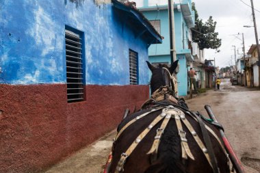 Trinidad, Küba 16.12.2018 At ve araba Küba şehrinin sokaklarında