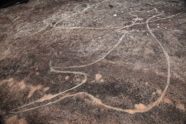 Dharawal χαρακτικά ή πετρογλυφικά, καγκουρό Bundeena NSW Αυστραλία — Φωτογραφία Αρχείου