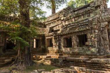 Orman ve ağaçlar Angkor Watt, Kamboçya, Ta Prohm ve Bayon tapınaklarını içine çekmişti. Ağaç kökleri tapınakların simgesidir ve Tomb Raider filmindeki Ta Prohm 'da popülerdir.. 