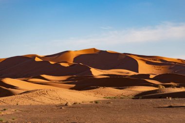 Sahra kum tepeleri öğleden sonra güneş batarken uzun gölgeler ve dokularla
