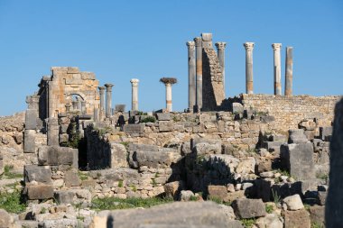 Volubilis, eskiden Fas 'ta kısmen kazılmış bir Berberi kenti olan Roma harabelerinin bulunduğu bir yer. Görüntüler, büyük sitenin bir parçası olan yıkılmış binaları ve sütunları gösteriyor.