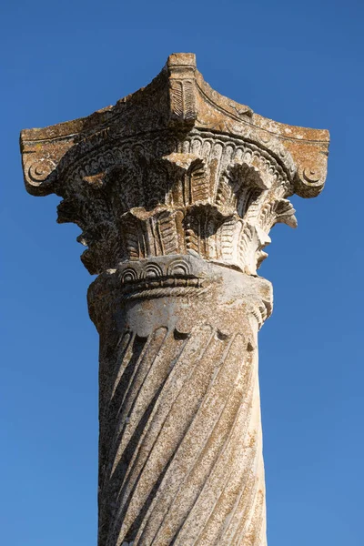 Volubilis Είναι Μια Τοποθεσία Ρωμαϊκών Ερειπίων Και Παλαιότερα Μια Μερικώς — Φωτογραφία Αρχείου