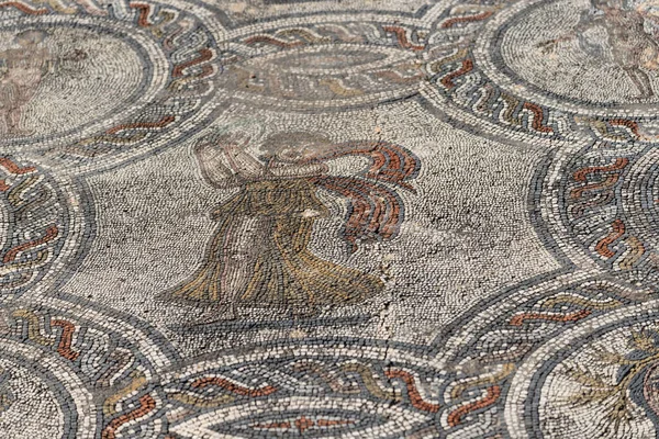 Volubilis, Fas 'ın Meknes kenti yakınlarında kısmen kazılmış bir Berberi kentidir. — Stok fotoğraf