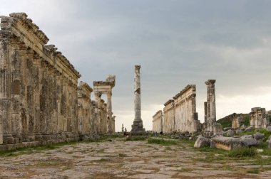 Apamea, Suriye - Mayıs 2009: Savaştan önce Suriye. Suriye 'nin etkileyici Apamea Yunan ve Roma şehri Apamea' da Büyük Koloni ve zafer kemerleri. Apamea antik bir Yunan ve Roma şehriydi. 