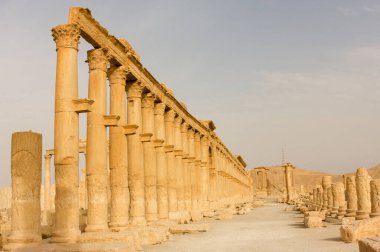 Palmyre Suriye 2009. Bu antik bölgede birçok Roma harabeleri var. Bu ayakta duran sütunlar öğleden sonra güneşinde çekilmiş ve arka plandaki tepede kaleler var. Yüksek kalite fotoğraf