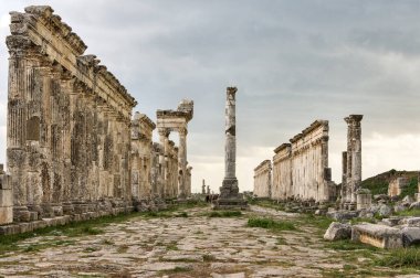 Apamea, Suriye - Mayıs 2009: Savaştan önce Suriye. Suriye 'nin etkileyici Apamea Yunan ve Roma şehri Apamea' da Büyük Koloni ve zafer kemerleri. Apamea antik bir Yunan ve Roma şehriydi. 
