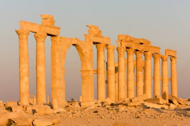 Palmyre Suriye 2009. Bu antik bölgede birçok Roma harabeleri var. Bu ayakta duran sütunlar öğleden sonra güneşinde çekilmiş ve arka plandaki tepede kaleler var. Yüksek kalite fotoğraf