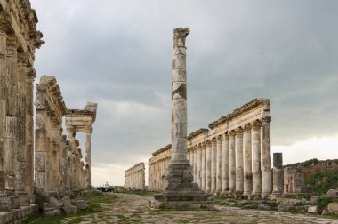 Apamea, Suriye - Mayıs 2009: Savaştan önce Suriye. Suriye 'nin etkileyici Apamea Yunan ve Roma şehri Apamea' da Büyük Koloni ve zafer kemerleri. Apamea antik bir Yunan ve Roma şehriydi. 