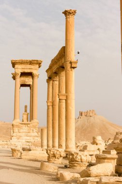 Palmyre Suriye 2009. Bu antik bölgede birçok Roma harabeleri var. Bu ayakta duran sütunlar öğleden sonra güneşinde çekilmiş ve arka plandaki tepede kaleler var. Yüksek kalite fotoğraf