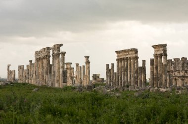 Apamea, Suriye - Mayıs 2009: Savaştan önce Suriye. Suriye 'nin etkileyici Apamea Yunan ve Roma şehri Apamea' da Büyük Koloni ve zafer kemerleri. Apamea antik bir Yunan ve Roma şehriydi. 