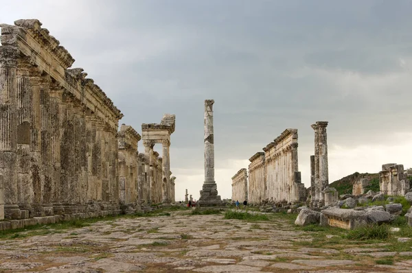 Apamea, Suriye - Mayıs 2009: Savaştan önce Suriye. Suriye 'nin etkileyici Apamea Yunan ve Roma şehri Apamea' da Büyük Koloni ve zafer kemerleri. Apamea antik bir Yunan ve Roma şehriydi. 