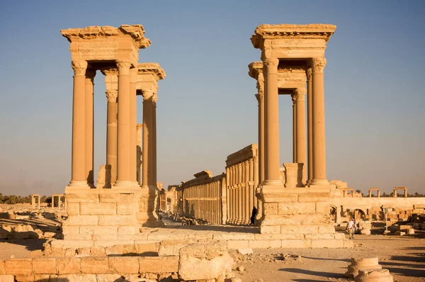 Palmyre Syria 2009 Ancient Site Has Many Roman Ruins Standing — Stock Photo, Image