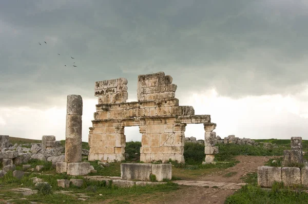 Apamea Sýrie Květen 2009 Sýrie Před Válkou Velká Kolonáda Triumfální — Stock fotografie